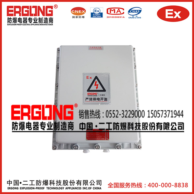 二工防爆配電箱專業(yè)團隊優(yōu)質(zhì)材質(zhì)